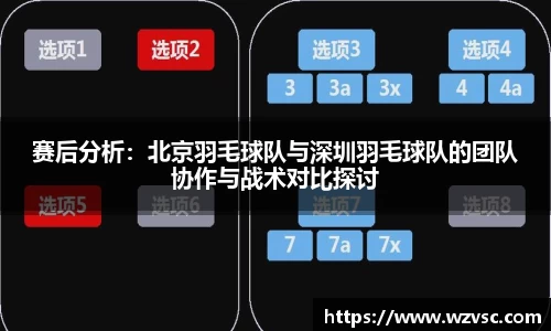 赛后分析：北京羽毛球队与深圳羽毛球队的团队协作与战术对比探讨