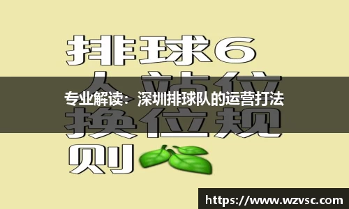 专业解读：深圳排球队的运营打法